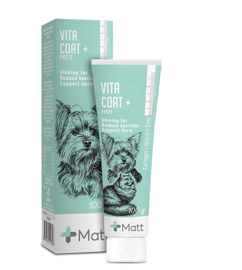 MATT VITA COAT PASTE 100GR LOT:52508507