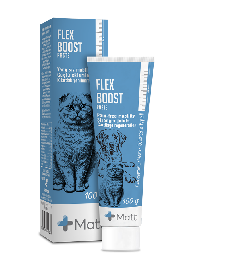 MATT FLEX BOOST PASTE 100GR LOT:52509509