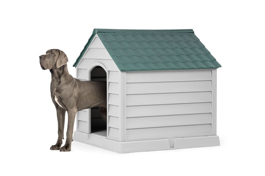 KÖPEK KULÜBESİ BÜYÜK