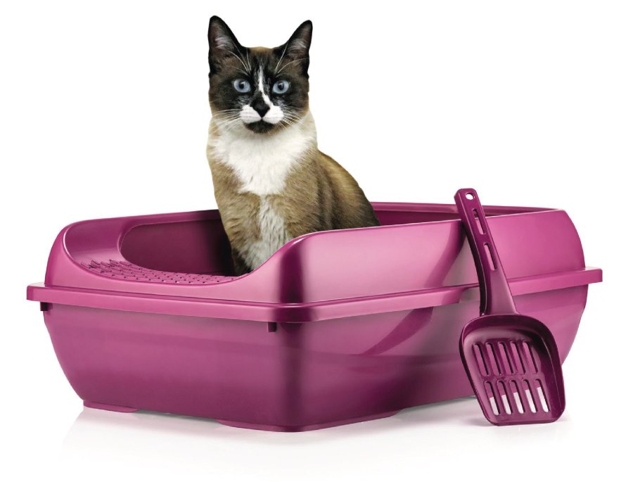 KEDİ KUMU KÜREĞİ